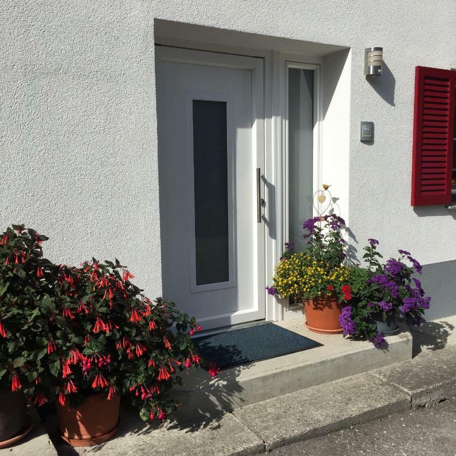Ferienwohnungen Haus Bergflora Bach  Luaran gambar